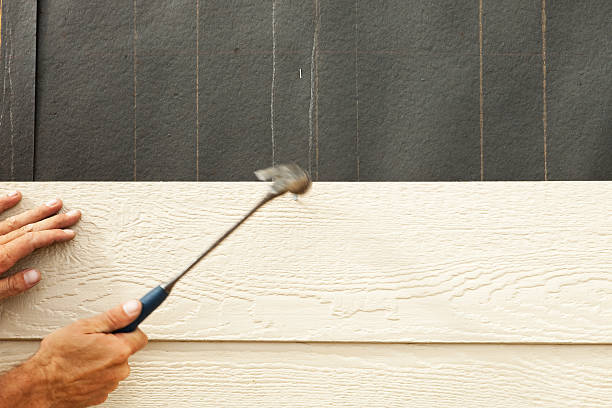 Best Siding Removal and Disposal  in Winfield, MO